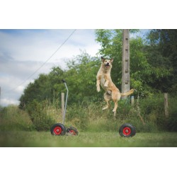 BOUGE TOIT pour Palissade d'Agility 9