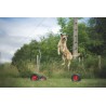 BOUGE TOIT pour Palissade d'Agility 9