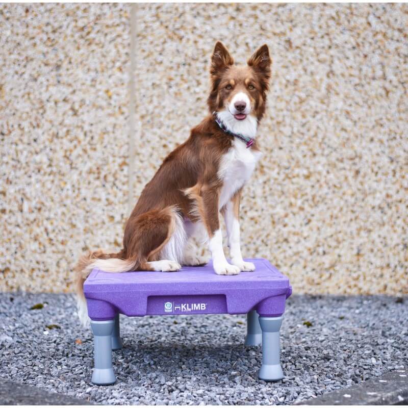 THE KLIMB - Table de Proprioception