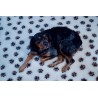 Tapis type Vetbed Petbed