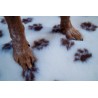 Tapis type Vetbed Petbed