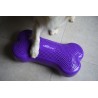 FitPaws K9 Fit bone
