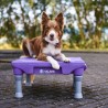 The Klimb Table de Proprioception