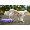 The Klimb Table de Proprioception