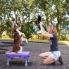 The Klimb Table de Proprioception