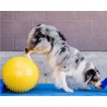 FitPaws TraxPeanut