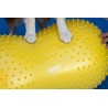 FitPaws TraxPeanut