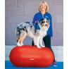 FitPaws TraxPeanut