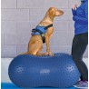FitPaws TraxPeanut
