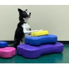 FitPaws Mini K9FIT bone