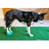 FitPaws Paw Pods Antiderapants