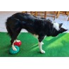 FitPaws Paw Pods Antiderapants