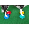 FitPaws Paw Pods Antiderapants