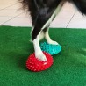 FitPaws Paw Pods Antiderapants
