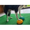 FitPaws Paw Pods Antiderapants