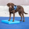 FitPaws Balance Pad