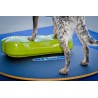 FitPaws Wobble board