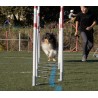 Pack agility maison