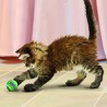 KONG Active Tennis Ball avec clochettes