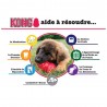 KONG senior
